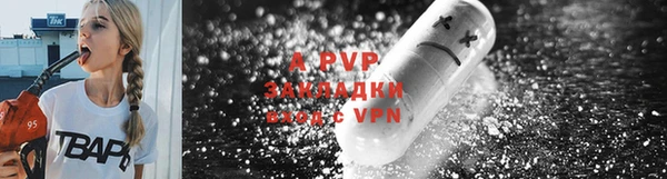 apvp Кострома