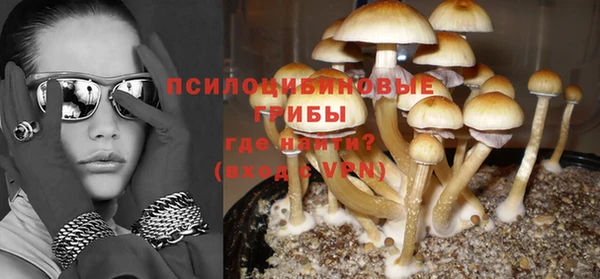 прущая мука Тихвин