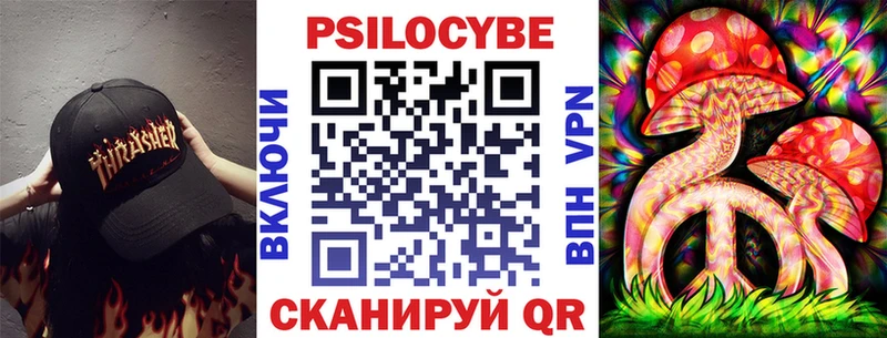 где продают   Котельнич  Псилоцибиновые грибы Psilocybe 